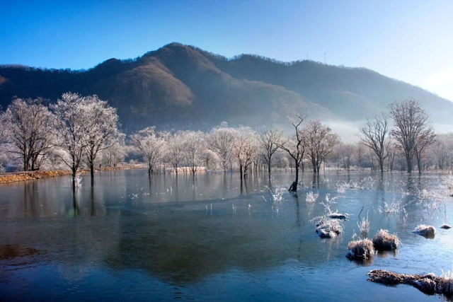 一键收藏！卾冬最全滑雪攻略