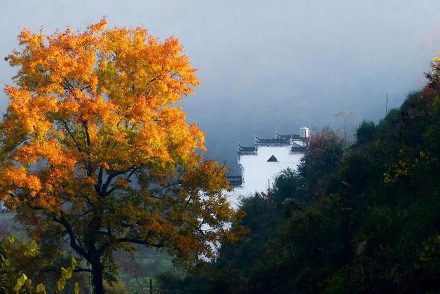 上饶荣登错峰赏秋热门目的地！跨年、寒假、春节连档，邀你共赴冬日诗意之旅