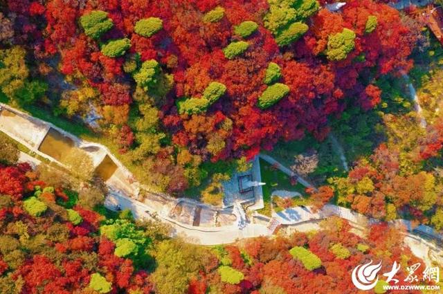 霜降至！中国五大红叶观赏地石门坊迎“全红时刻”