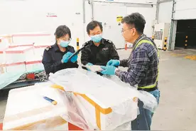 成都航空口岸假期繁忙依旧：力保品质 鲜活进出口货物随到随检图片