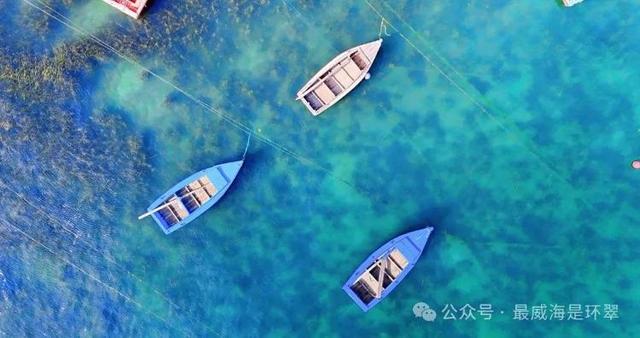 威海七月惊现 “玻璃海”，错过这次再等一年！