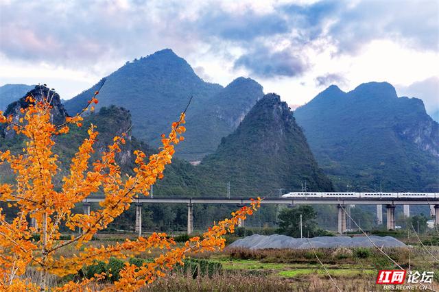 岁暖时刻丨桂林藏着座“大地之眼”！晨曦漫过石拱，看群峰在天然画框里苏醒