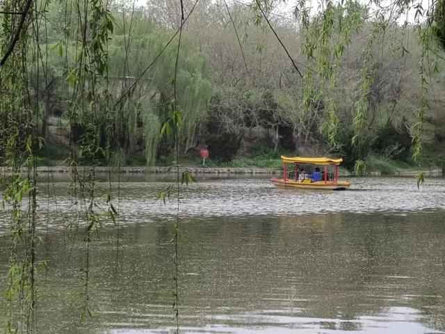 豫见两山 绿色答卷丨生态之旅——打卡“美丽河湖”安阳河