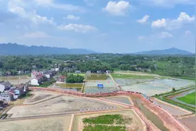 打造农业新名片 大竹县稻虾示范基地迎来首捕图片