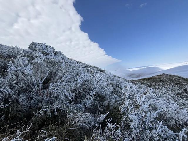 多地下雪！广西限定版“冰雪世界”已上线