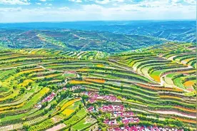 【文化·旅游】庄浪梯田 绘在黄土高原上的锦绣画卷图片