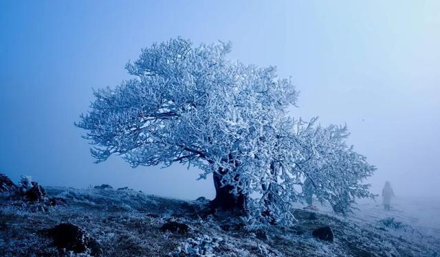 多地下雪！广西限定版“冰雪世界”已上线