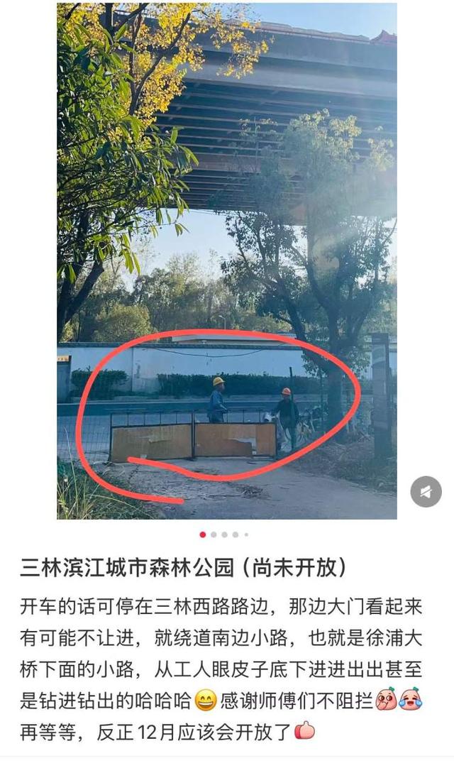 三林水森林未开先火，网络疯转“潜入攻略”！记者探访：确有不少游客；建设方：今年内完工，请静待开放