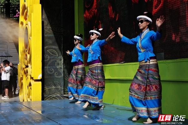 岁暖时刻丨西双版纳森林公园：彩裙碰彩伞，傣风裹着蕉香漫