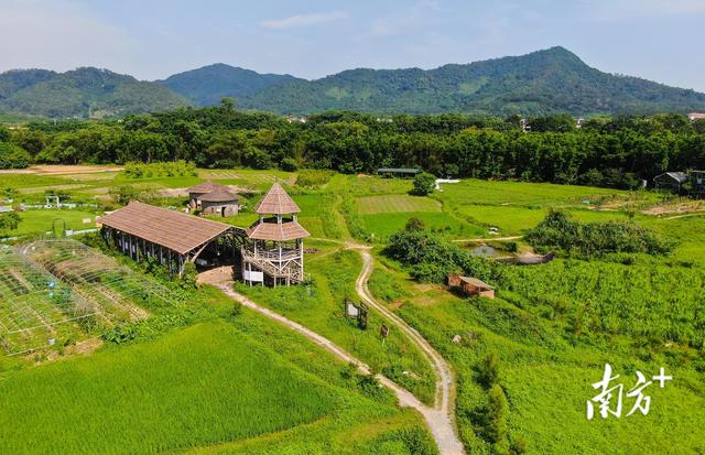 深读｜一座山，如何激活中山全域农文旅