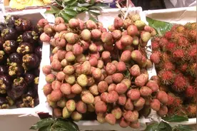 荔枝、山竹亮相昆明市场，价格→图片