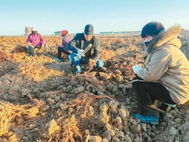 国宝名镇 千年法门