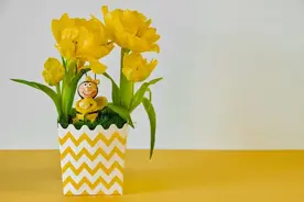 强迫症治疗，到底“药”“不药”图片