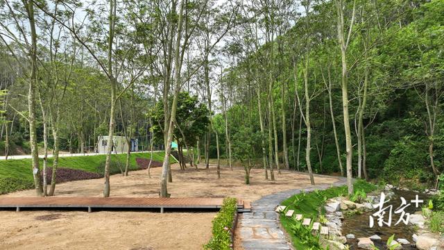 探秘佛山最西端，溯沧江之源，享清凉一夏