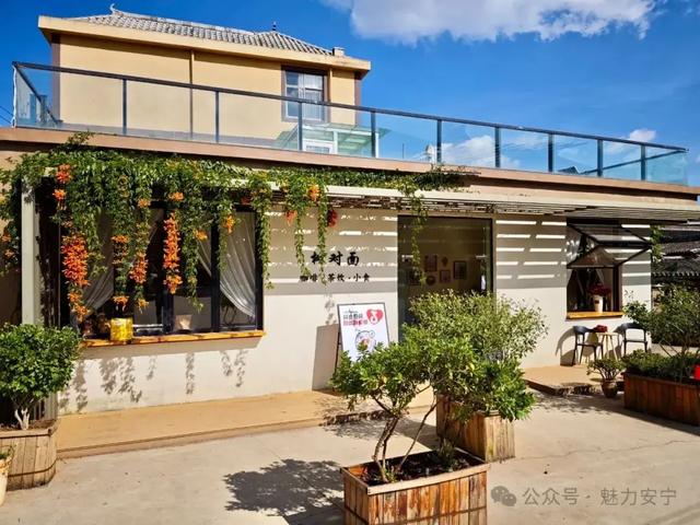 来安宁雁塔村,赏花巷、捏瓦猫!