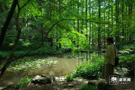 打卡绿色秘境：春夏之交，虎跑公园美景吸引众多游客图片