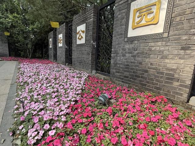 五月限定！西城花事正盛，赴一场初夏浪漫之约