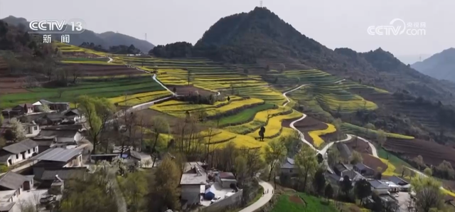 “小慢车”承载民生“大希望” 为文旅融合发展注入“春日活力”