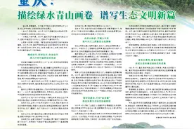 重庆：描绘绿水青山画卷 谱写生态文明新篇图片