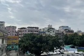 城中村租房免中介费，街道做“中间人”靠谱吗图片