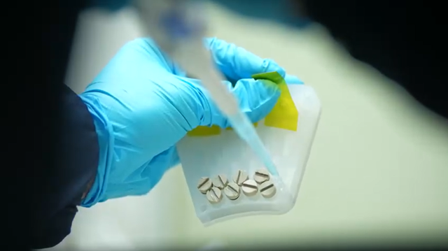 神舟二十一号载人飞船成功发射 空间应用系统上行六项科学实验