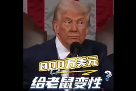 果然视频·看天下|特朗普：花800万美元给老鼠变性，真的！图片