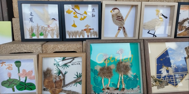 2025崇明东滩观鸟生活季启幕