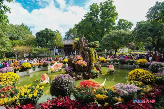 这场秋菊盛会，描绘着福建的千年风雅