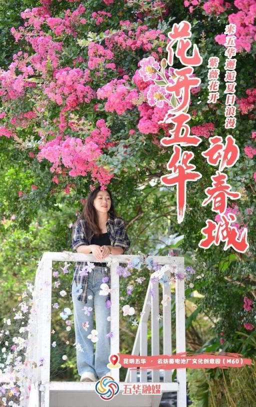 紫薇花开，来昆明邂逅夏日浪漫~