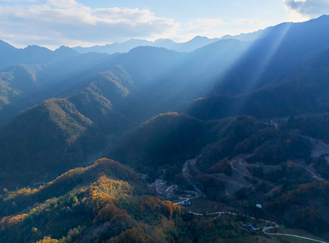 青睐绵阳 ‖ 云端公路 层林尽染！初冬驾游平武药丛山，限定版的视觉盛宴~