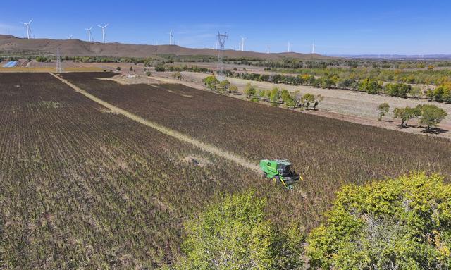 从一瓶腐乳、一台呼吸机、一株藜麦看京津冀协同创新