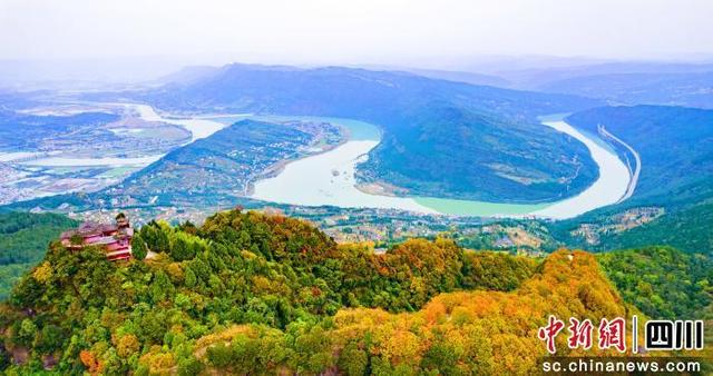 广元昭化牛头山彩林迎来最佳观赏期