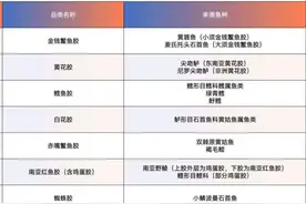 解码鱼胶产业转型背后的十大关键品种图片