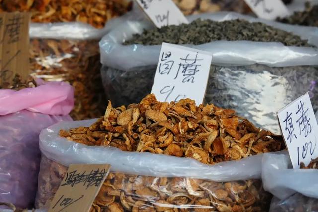 东北秋景天花板，错过再等一年