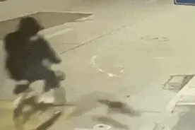 上海一男子骑车上班途中，被流浪猫撞飞！手臂骨折、门牙脱落……到底该找谁索赔？图片