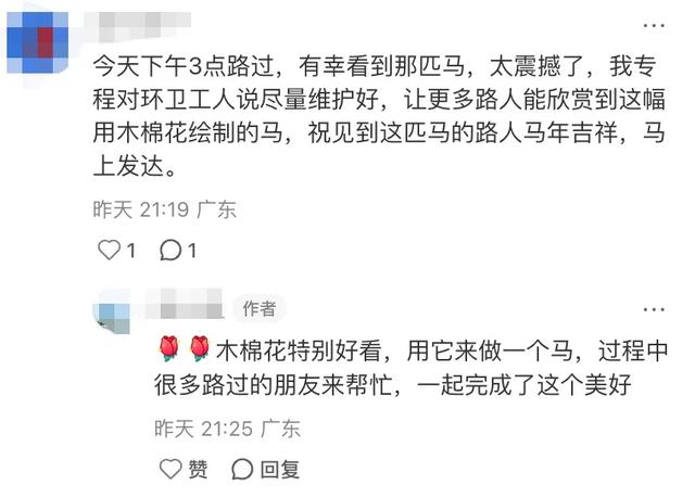 深圳公园的木棉花，开出了一匹“马”！