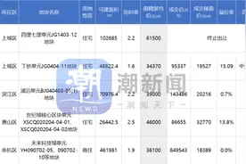 杭州钱二宅地意外终止出让，建发85亿拿下低碳国际社区地块图片