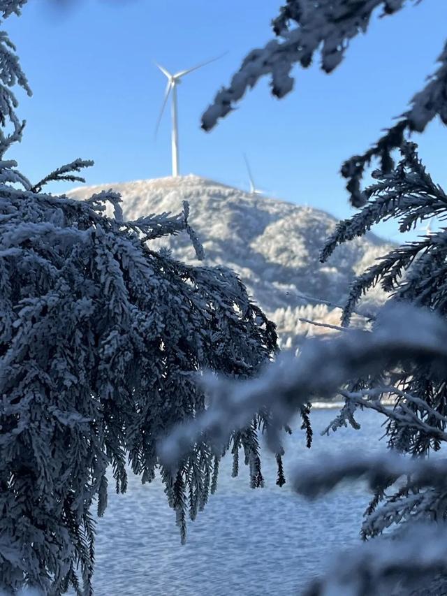 多地下雪！广西限定版“冰雪世界”已上线