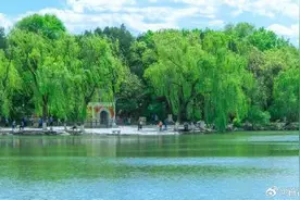 北京大学今起接受团体预约图片