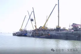 5万尾日本海马放流大海图片