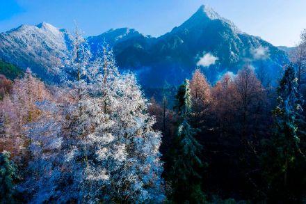 成都崇州即将迎来赏雪季啦！