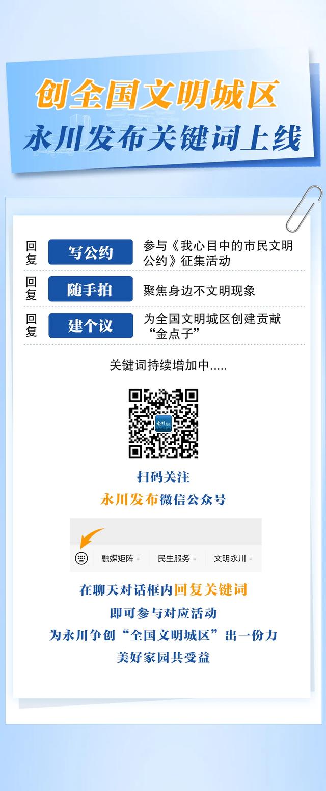 永川兴龙湖的水杉迎来最美的季节！