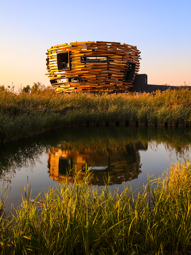 一眼心动！周末邂逅北京芦花漫舞，超有秋日feel~
