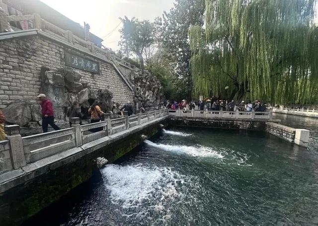 已进入最佳观赏期，济南明确：不扫！