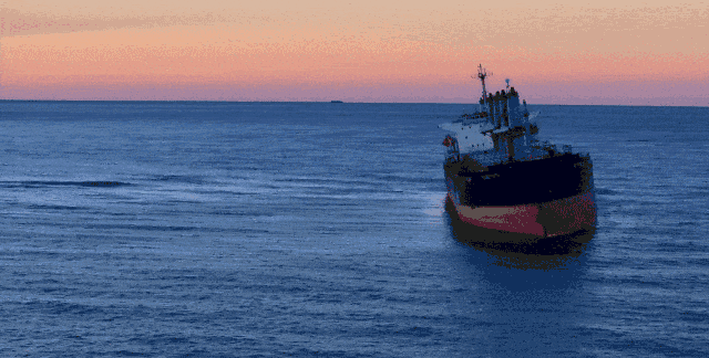 冬天！所有人都该来荣成见一见“永不失约”的布鲁威斯