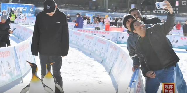 “冷”赛道激发产业发展“热”活力 “冰雪+”掀起冬季消费新热潮