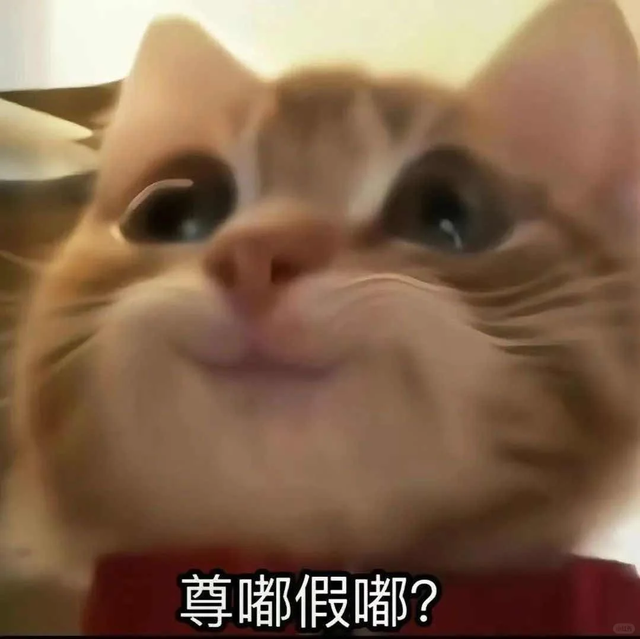 免租1年！还有生活补贴！全是干货……