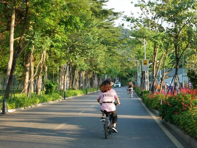 12点报名！深港环水库绿道骑行活动来啦！