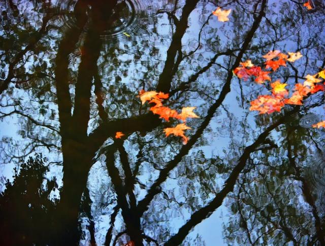 南通这里太美了！这个周末，不少人赶去打卡