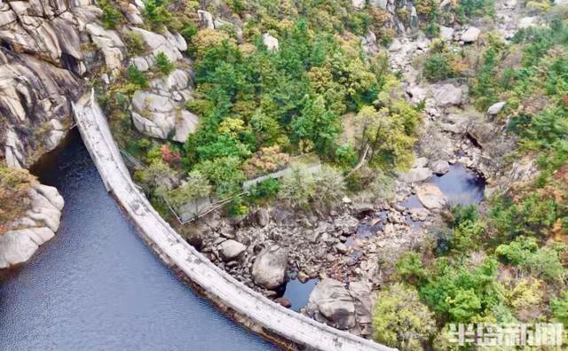 十余只鸳鸯“做客”崂山龙潭水库 深秋生态画卷添灵动生机